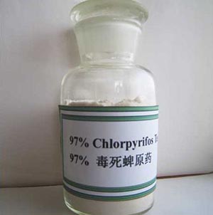 Chlorpyrifos 97%TC,CAS:2921-88-2